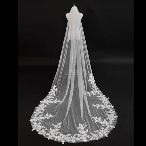 Anthropologie Cathedral long bridal lace embroidered edge boho veil